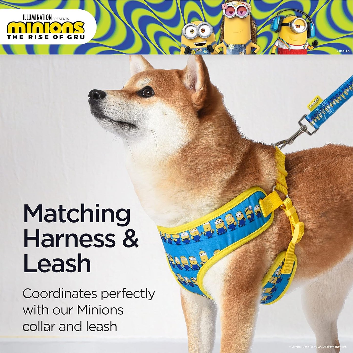 Dog Harness, Small, Blue in a Row | Comfortable Mesh No-Pull Dog Harness| Gifts for Fans and Their Pets | Officially Licensed Pet Product from Universal Studios